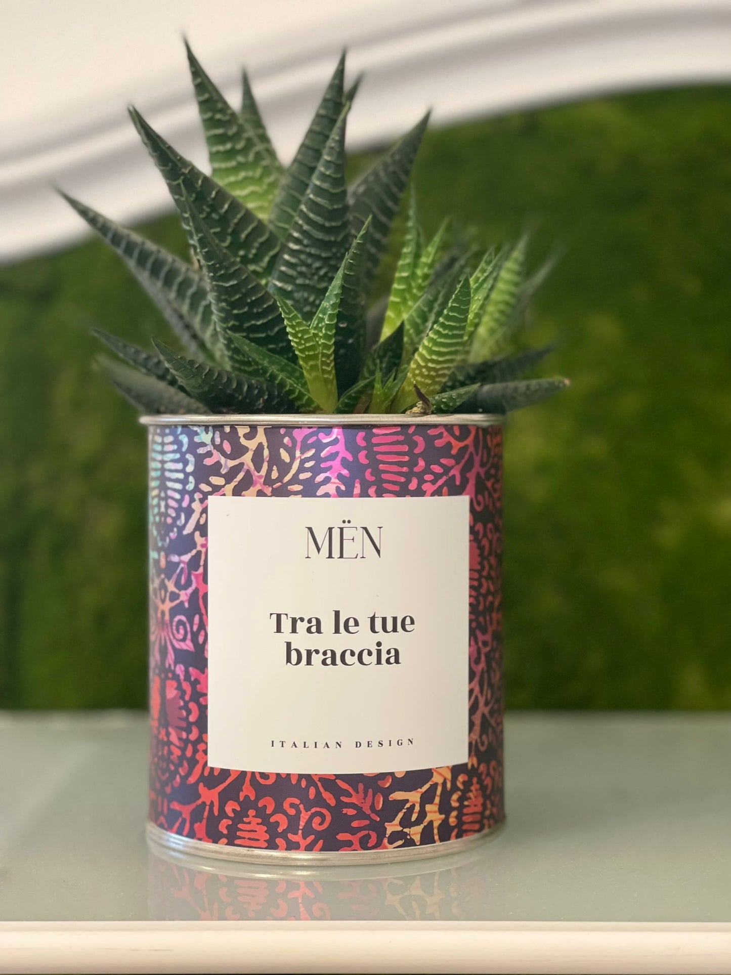 Piante grasse con confezione in latta e frase di vita