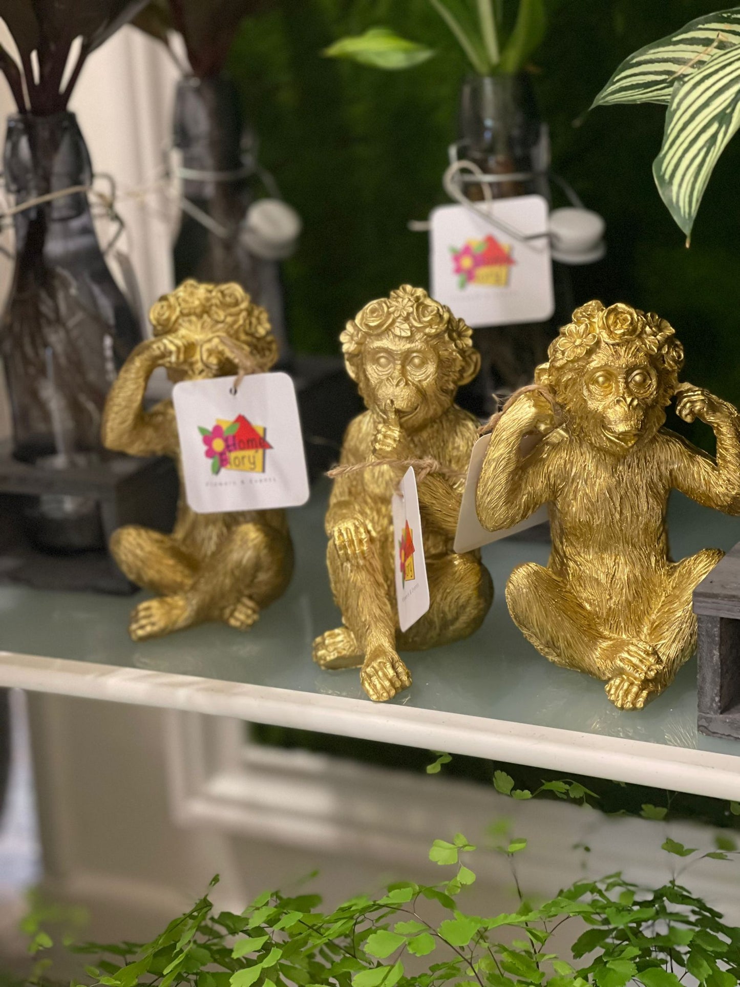 Scimmiette “non vedo, non sento e non parlo“