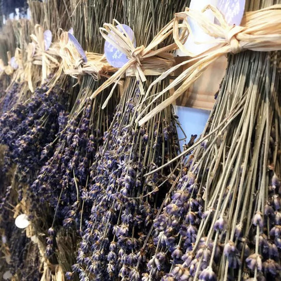 Pregiata lavanda biologica