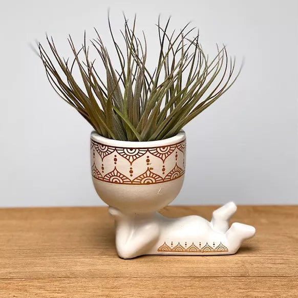 Lazy Airplant uomo