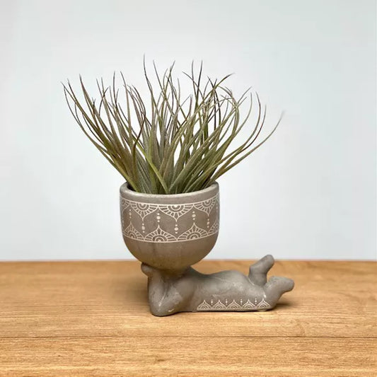 Lazy Airplant uomo