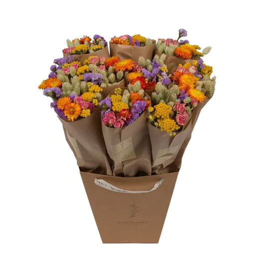 Fiori secchi Multi